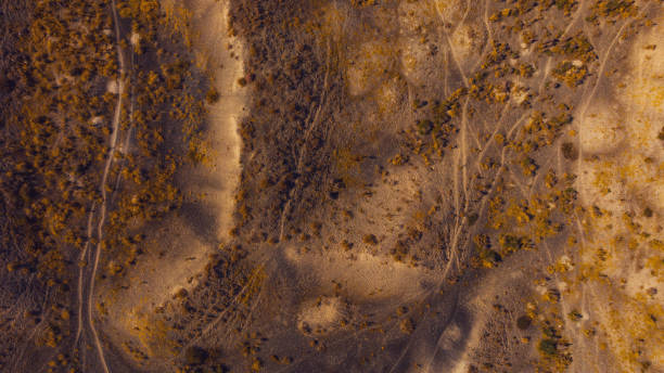 istock Aerial view of abstract texture by volcanic landscape 1438342966