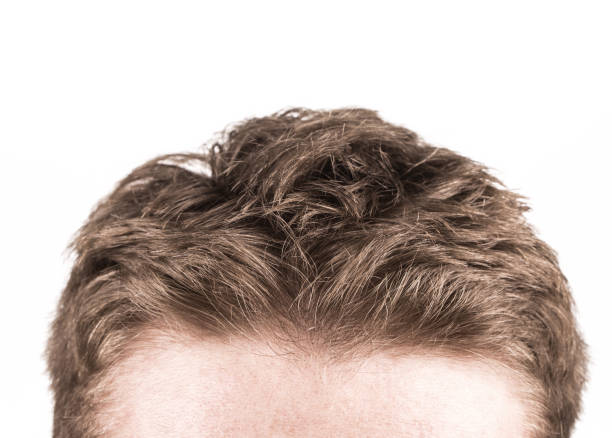 istock haircut isolated on white 1438344176