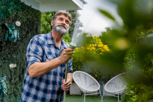istock Senior man watering plant outdoor. 1438344867