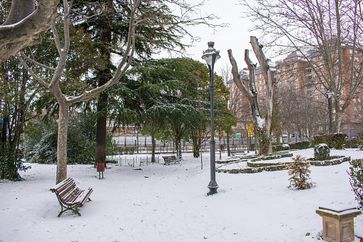 a park with snow-covered trees in the city in winter