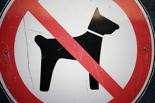 No walking with dog signage in red circle frame mounted on wall close up view. Sticker no dog on store entrance.