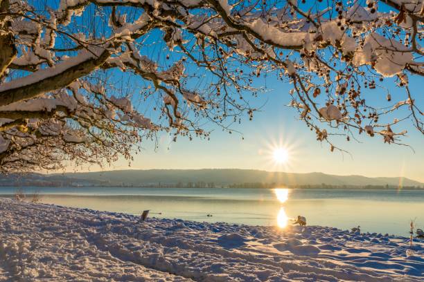 Winter vacation on Lake Constance with sunshine and blue sky and lots of snow