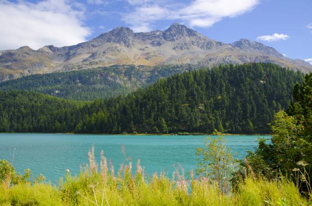 lago alpino champfer rodeado de montañas cubiertas de vegetación bajo la luz del sol en suiza - champfer fotografías e imágenes de stock