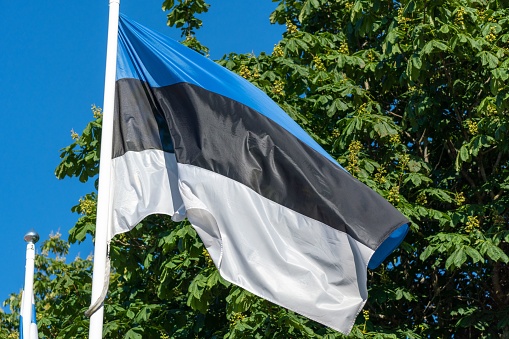 A closeup of an Estonian flag against the tree branches