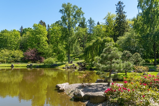 A scenic Japanese Garden against the lake in Kadriorg Park, Tallinn, Estonia