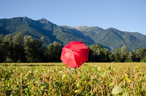 A red umbrella in a field surrounded by hills covered in greenery under the sunlight and a blue sky