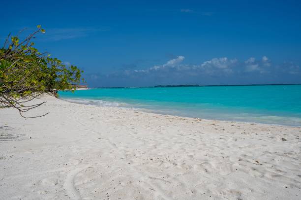 istock Beautiful beach with white sand and clear blue water on a sunny summer day 1438353071