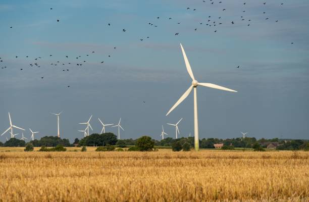 istock Field with windmills against a blue sky 1438353136