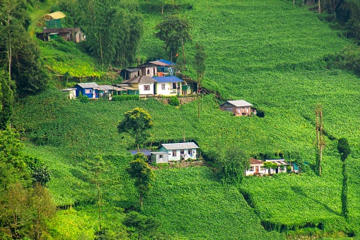 A high angle shot of small rural houses in the green valley in Mirik, West Bengal