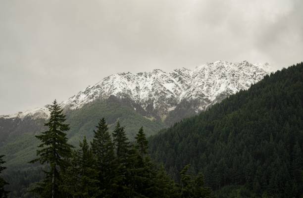 istock Landscape of mountains covered in forests and snow under a cloudy sky 1438353575