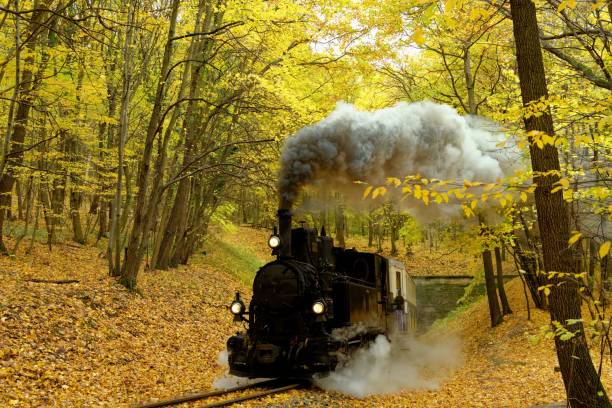 istock Old steam train in a beautiful golden forest in Budapest, Hungary 1438355521