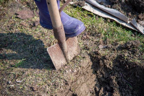 istock High angle shot of a person digging a soil using a shovel during daytime 1438355634