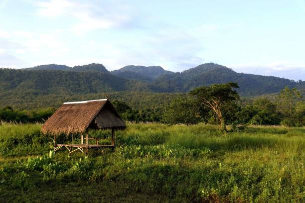istock Old hut in a tropical area on a sunny day 1438355997