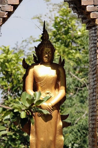 A vertical shot of the golden Buddha statue in a temple