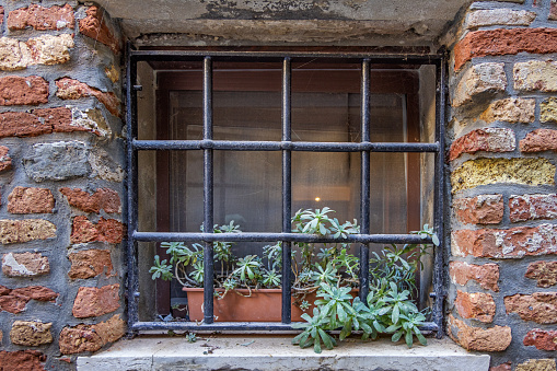 Window in a brownstone wall with grille and green plants in a street in the center of Venice