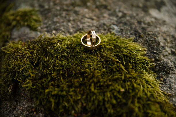 istock Two wedding rings on the floor with contrast 1438356974