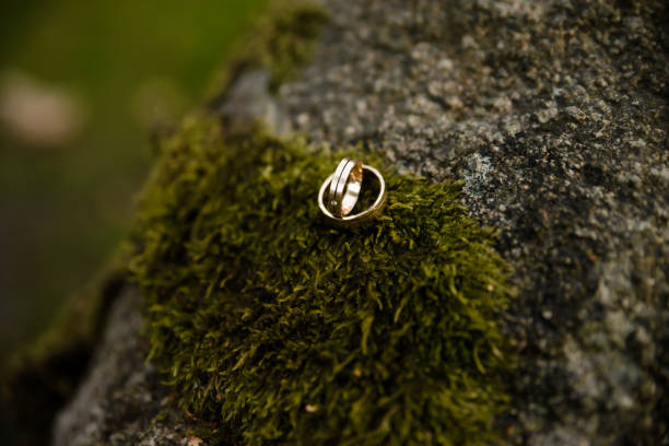 istock Two wedding rings on the floor with contrast 1438356975