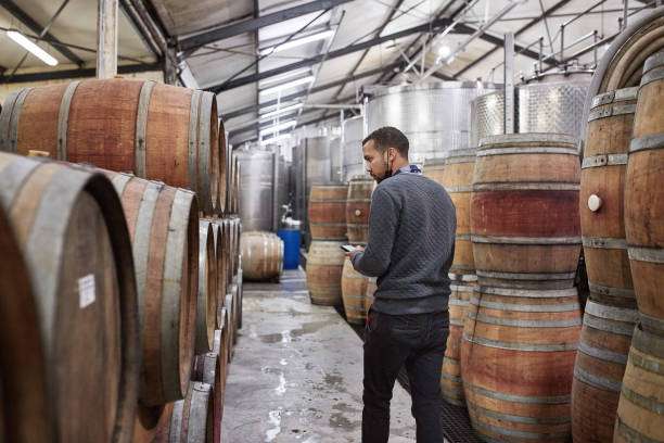 istock Wine, data check and working black man checking winery farm information and stock. Alcohol storage an barrels in a warehouse with a factory worker working on digital information and drink shipping 1438359612