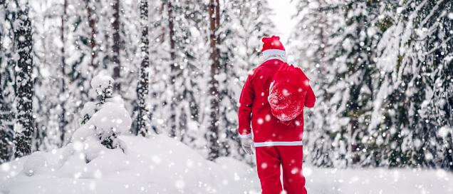 Santa Clause walking through the snowy forest in snowfall. Panoramic background. Concept of Christmas and New Year day.