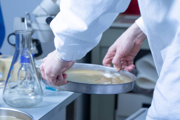 istock biotechnology laboratory: useful and mandatory equipment 1438364799