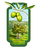 istock Olive oil 1438364843