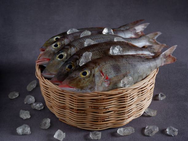 istock Fresh Belacung Fish in rattan basket. Lethrinus. 1438365071