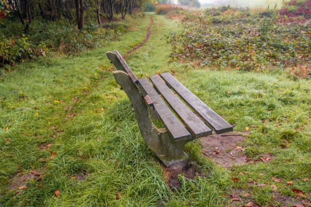 Empty wooden bench in the foreground of a nature reserve. In the background is a narrow path. It's an early morning in the fall. The grass is wet with morning dew and there is still some morning mist.