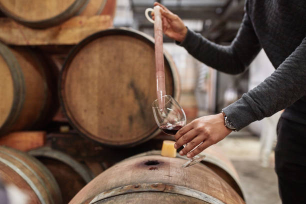 vin, cave et mains de l’homme avec pipette pour tester, déguster ou déguster un verre de vin rouge millésimé provenant d’un tonneau de stockage de bois. outils de l’industrie de l’alcool, inspection de contrôle de la qualité ou vérification  - winemaking photos et images de collection