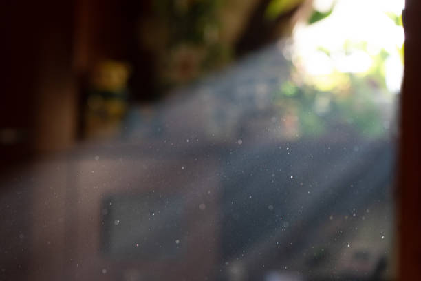 Sun stream of light with visible particles in room