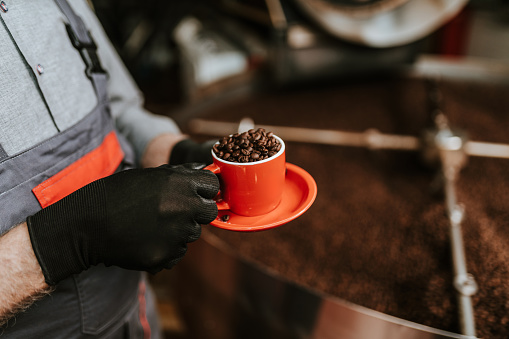 A worker in a coffee factory holding a cup filled with coffee beans.