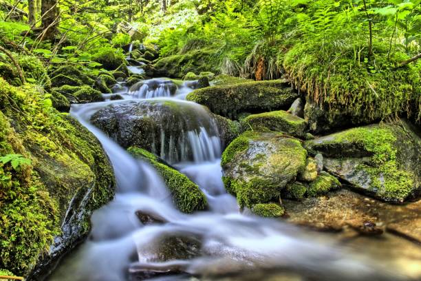 istock Long exposure of a fairy waterfall stream falling over rocks covered with bright green moss 1438368576