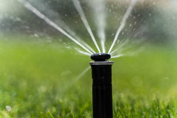 istock Garden watering system with streaming water 1438371105