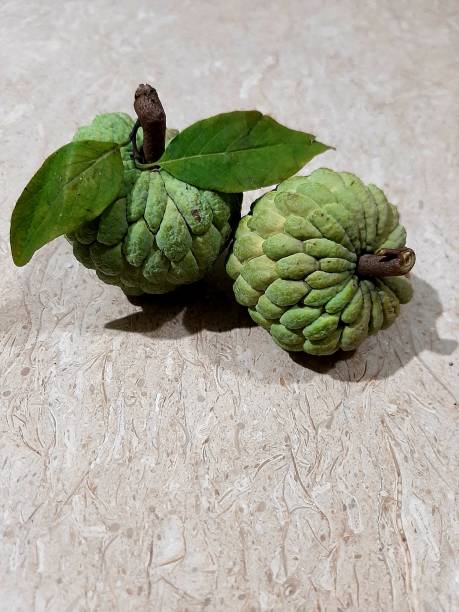 istock The srikaya fruit 1438375281
