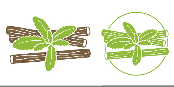 Licorice root - ingredient of food supplement or skincare - dark spots whitening. Isolated vector pictogram