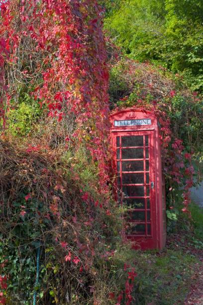 istock Red trailing ivy starting to cover a telephone box in rural Devon 1438382632
