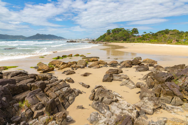 istock Beach with waves, rocks, sand and forest 1438382956