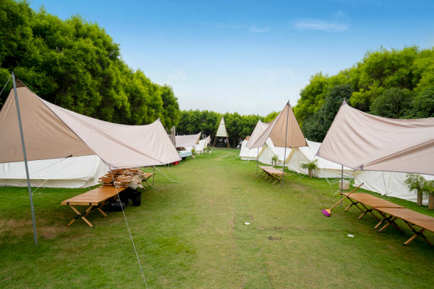 istock The campsite in the forest is covered with tents 1438384135