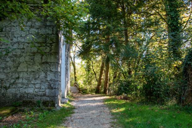 istock Old rural house in the green forest 1438384253