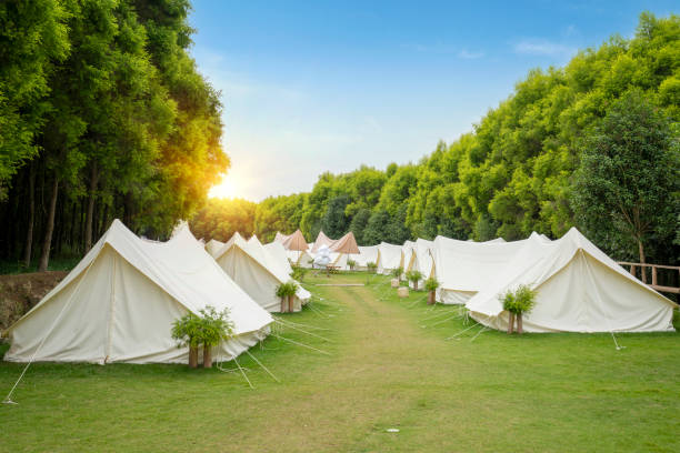 istock The campsite in the forest is covered with tents 1438384350
