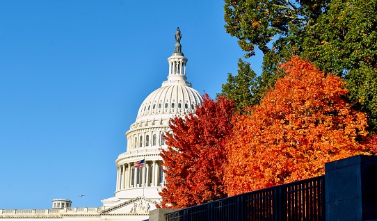 United States Capitol Building Fall Colors