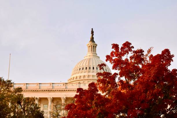 istock United States Capitol Building Fall Colors 1438384416