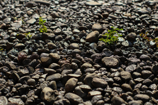 The arrangement of the rocks is a little wet and the rocks are arranged very neatly