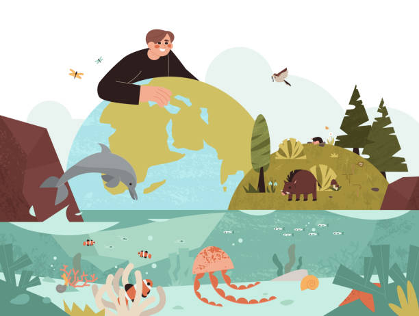 Ecologyst man protecting biodiversity of plants, birds, animals, marine life Biodiversity and nature protection flat vector illustration. Ecologyst man protecting different habitat types and biological species of plants, birds, animals and ocean marine life on planet earth. the boar fish stock illustrations