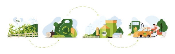 illustrations, cliparts, dessins animés et icônes de cycle de vie plat des biocarburants avec biomasse de maïs, de bois et de canne à sucre - biocarburant
