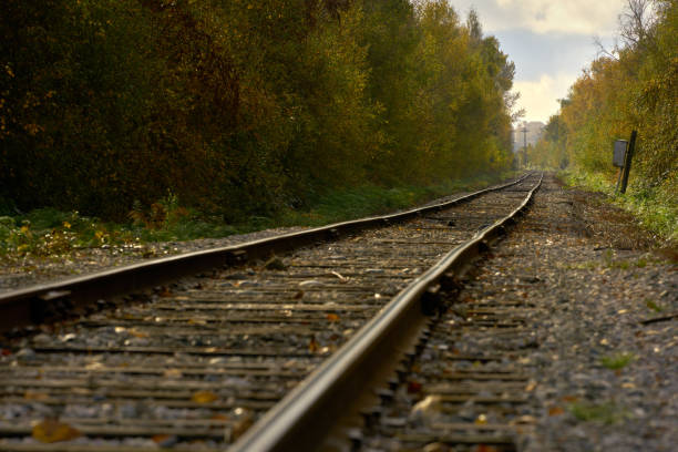 istock Train Tracks and Autumn Leaves 1438391624