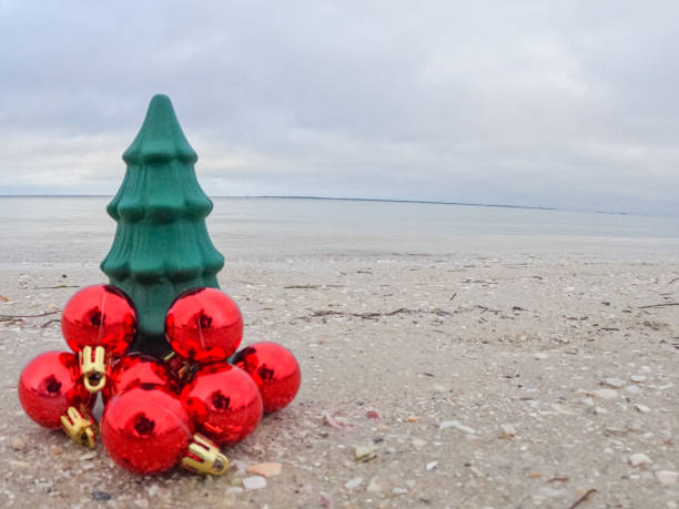istock Florida Christmas on the Beach. 1438394954