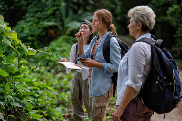 istock Young backpack hiking botany study woman walking in the forest and pay attention looking tree leave 1438398475