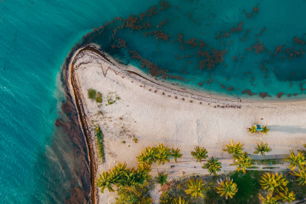 istock Aerial photos of Placencia 1438401049