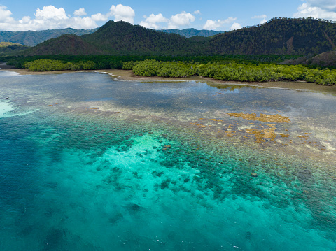 Vista aérea del hermoso arrecife de coral indonesio photo