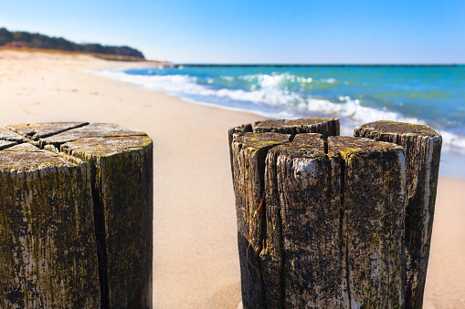 Old weathered wooden groynes at coast of Baltic Sea and view along